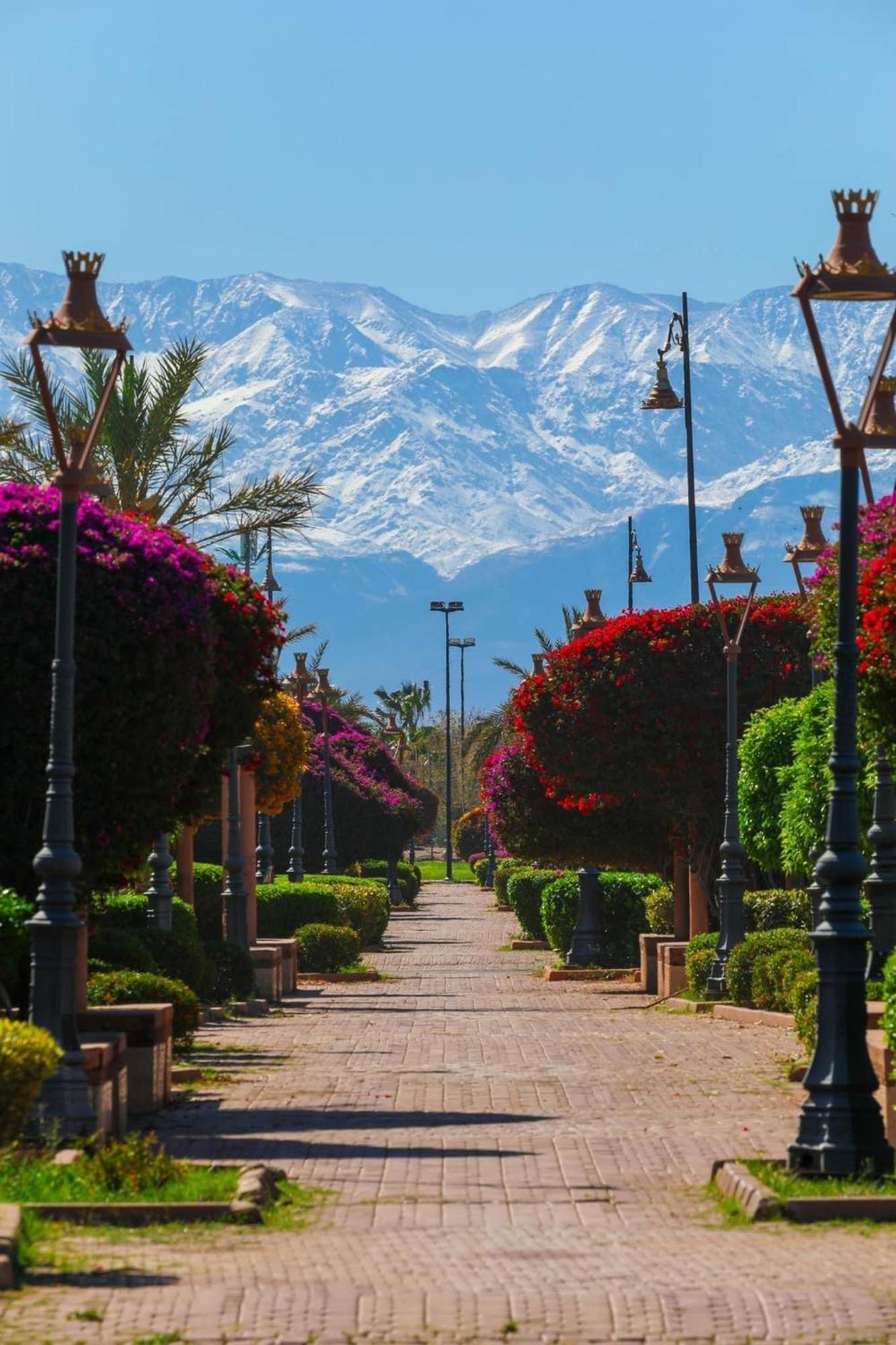Riad Majestic Marrakech Marrakesh Extérieur photo